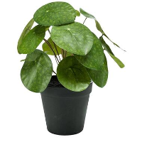 KUNSTPLANT PILEA BUSH GROEN IN POT 22CM   Leen Bakker