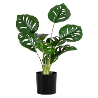 Kunstplant Monstera Monkey Bush   Groen   43 cm   Leen Bakker