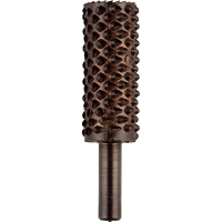 KWB Holle Raspfrees, Houtbewerking WS 10x15mm