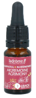 Ladrôme Bachbloesem 1 Agrimony