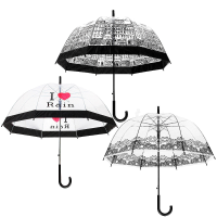 Lady Transparent Lace Umbrellas Girl Beard Outdoor House Creative Elegant Rain Gear