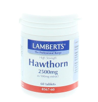 Lamberts Crataegus 2500mg Tabletten