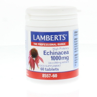 Lamberts Echinacea 1000mg + Zink + Vitamine C Tabletten