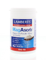 Lamberts MagAsorb 375mg Poeder