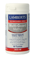 Lamberts Multi Guard Methyl Tabletten