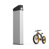 LAOTIE FX150 12.8Ah 48V Upgrade Versie Elektrische Fiets Batterij Oplaadbare Ebike Lithium ion Batterij Accessoire