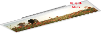 Led Paneel Neutraal Wit 41 W 120 X 30 Cm Leuchtendirekt Flatdia 14403 16