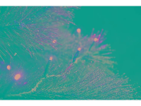 LED Uitbreiding lichtkettingsysteem 31 V Energielabel: LED Lichtketting Amber Konstsmide