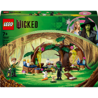 LEGO Wicked   Elphaba's schuilhut Constructiespeelgoed