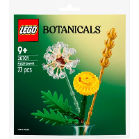 LEGO Botanical Collection   Veldbloemen Constructiespeelgoed