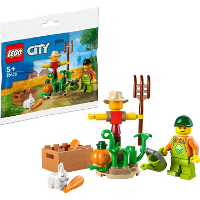 LEGO City   Boer Met Vogelverschrikker Constructiespeelgoed