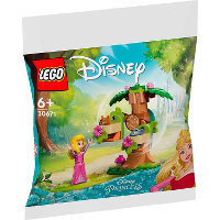LEGO Disney   Aurora's speelplek in het bos Constructiespeelgoed