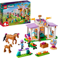 LEGO Friends Paardentraining 41746