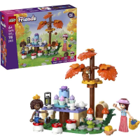LEGO Friends   Theekransje in het bos Constructiespeelgoed
