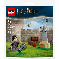 LEGO Harry Potter   Zwerkbal les Constructiespeelgoed