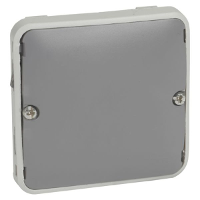 69537   Cover plate blind cover 69537