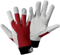 Leipold Doehle Griffy 1706 8 Montagehandschoen Geiten nappaleer Maat (handschoen): 8, M EN 388:2016 Cat II 1 paar