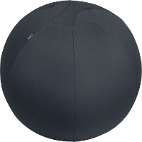 Leitz Ergo Actieve Zitbal, anti rol design, 65cm werkstoel