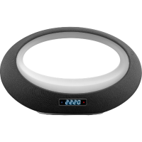 BT 210 bluetoothspeaker