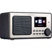 Internet Radio DIR 100