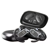 Lenovo EA366 Draadloze oorhaakjes Bluetooth oortelefoon 14,2 mm grote driver eenheid Digitale weergave Lage vertraging A