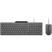 Lenovo LNV 310 USB A Wired Combo US 103P