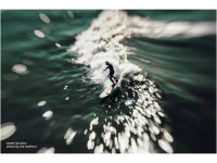 Lensbaby Composer Pro II incl. Sweet 50 Primelens f/2.5 35 Mm
