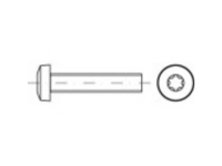 TOOLCRAFT 146074 Lenskopschroeven M3 30 mm Torx DIN 7985 Staal Galvanisch verzinkt 200 stuk(s)