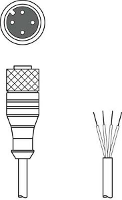 Leuze Electronic 50037783 Aansluitkabel 1 stuk(s)