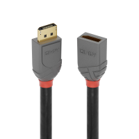 LINDY 36495 DisplayPort kabel DisplayPort Verlengkabel DisplayPort stekker, DisplayPort bus 0.50 M Antraciet, Zwart, Rood Vergulde steekcontacten