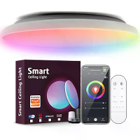 LIXINCORDA 24W 30cm Slim RGBCW LED Plafondlamp Werkt met Tuya WiFi APP Spraakbesturing Dimbare LED Plafondlamp Muzieksyn