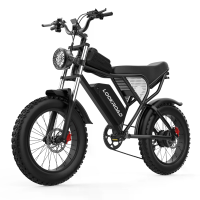 LOOKROAD L20 Elektrische Fiets, 48V 20Ah Batterij, 1500W Motor, Aanbevolen topsnelheid 25KM/U, Snelheidsensor, Hydraulis