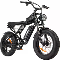 LOOKROAD L20 Elektrischefiets, 48V 15.6Ah Accu, 1000W Motor, Aanbevolen topsnelheid 25KM/U, Snelheidsensor, Mechanische