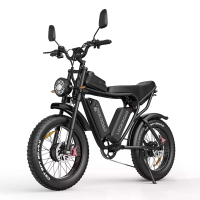 LOOKROAD L20 Pro Elektrische Fiets, 52V 20Ah*2 Duale Batterijen, 1000W*2 Duale Motoren, Aanbevolen topsnelheid 25KM/U, S
