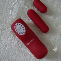 Loveaider Waterproof Silent 12 Speed Vibrating Female Double Vibrator