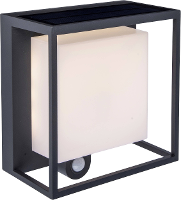 Lutec Curtis 6934601118 Wandlamp op zonne energie met bewegingsmelder LED LED vast ingebouwd 3 W Antraciet