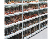 Magazijnstelling Basismodule (b X H X D) 1056 X 2500 X 336 Mm Staal Verzinkt Verzinkt Metaal Meta 1287