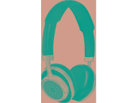 Master & Dynamic MW50+ Bluetooth Koptelefoon Zwart, Zilver