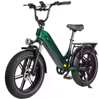 [EU DIRECT] Kameel Elektrische Fiets 48V 18AH 250W Motor 25Km/u Snelheid Max 20 Inch Fat Bandens 120Km Max Bereik 120Kg