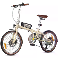 [EU DIRECT] Smart20 Elektrische Fiets 36V 5.2Ah 250W Motor Topsnelheid 25KM/U 20inch Banden 30 40KM Max Bereik 100KG Max