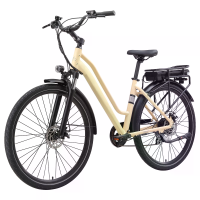 [EU DIRECT] Stedelijk 7 elektrische fiets 36V 12.8AH accu 250W motor Top snelheid 25KM/U 700×50C banden 70KM maximale be