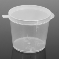 100Pcs 30ml Disposable Plastic Clear Containers Small With Hinged Lids 1oz