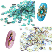 10Pcs Natural Shell Gem Nail Art 3d Decoration Rhinestones Uv Gel Diy Acrylic Manicure Studs Design