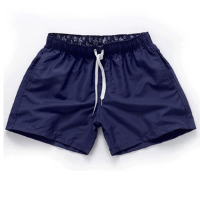 11 Colors Summer Mens Fast Dry Shorts Breathable Big Pants Beach Shorts