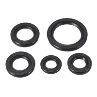 110Cc Engine Oil Seal Set Kit Loncin Lifan Pit Dirt ATV Quad Bike