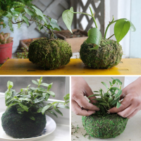11Cm Soilless Culture Dry Moss Planting Ball Garden Plant Potted Hydrating Flower Pot