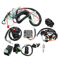 125Cc 150cc 200cc 250cc Quad Electric CDI Coil Wire Harness Stator Assembly Wiring Set