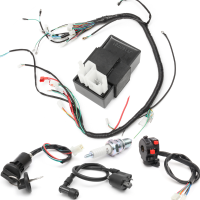 150Cc 200cc 250cc Wiring Harness Loom Solenoid Coil Regulator Cdi For Atv Quad Bike