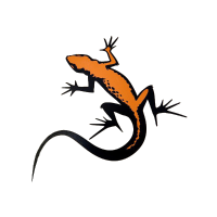 15X13cm Gecko Car Sticker Decals Waterproof Vehicle Styling Auto Door Bumper Window Decals