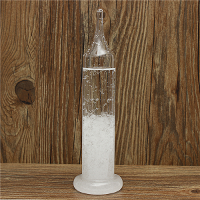20Cm Fitzroy Storm Glass Barometer Weather Forecast Meteorology Detect Gift